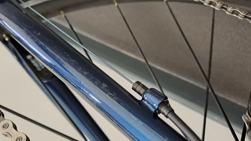 EX DISPLAY Trek Domane AL 2 Road Bike 54cm 2023 in Metallic Blue -3