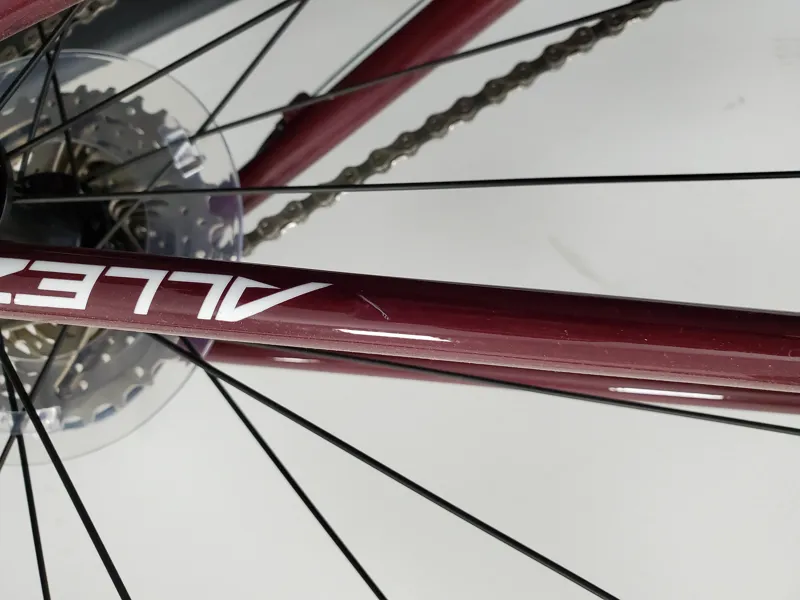 EX DISPLAY Specialized Allez Road Bike 44cm 2021 in Raspberry Red-2