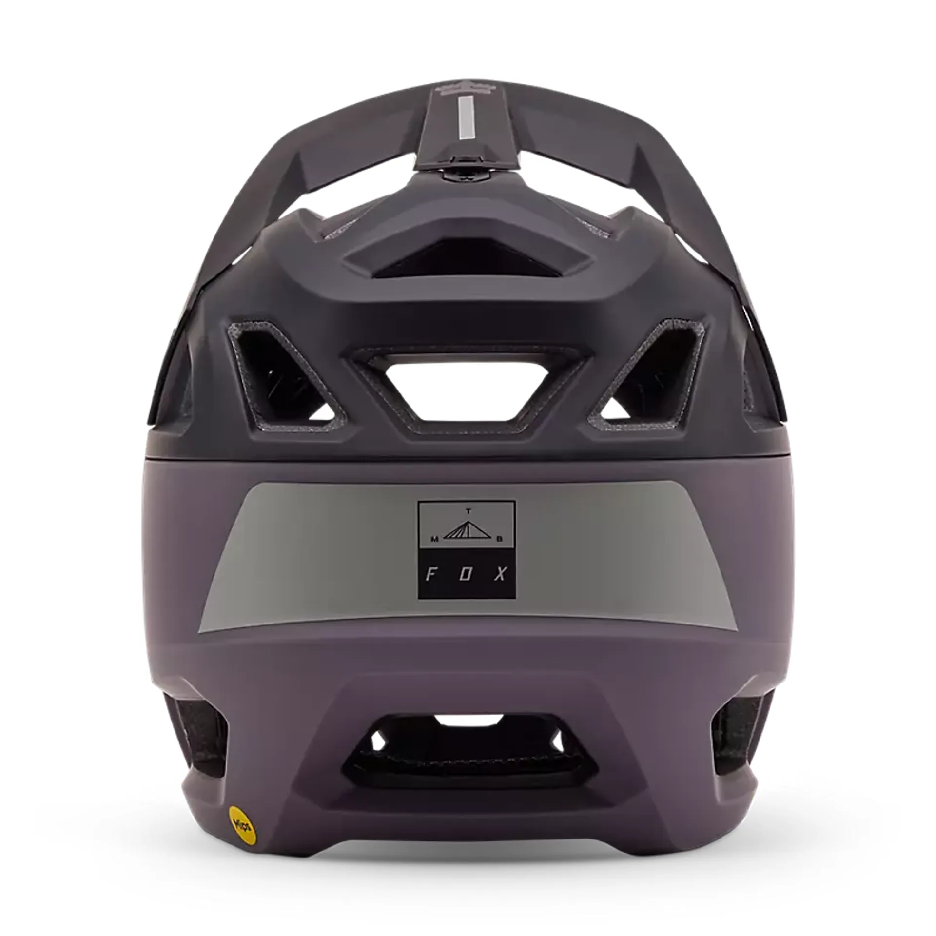Fox Racing Proframe MTB Helmet in Smoke Grey