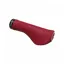 Ergon GS1 Evo Small Grips in Chilli Red