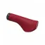 Ergon GS1 Evo Large Grips in Chilli Red