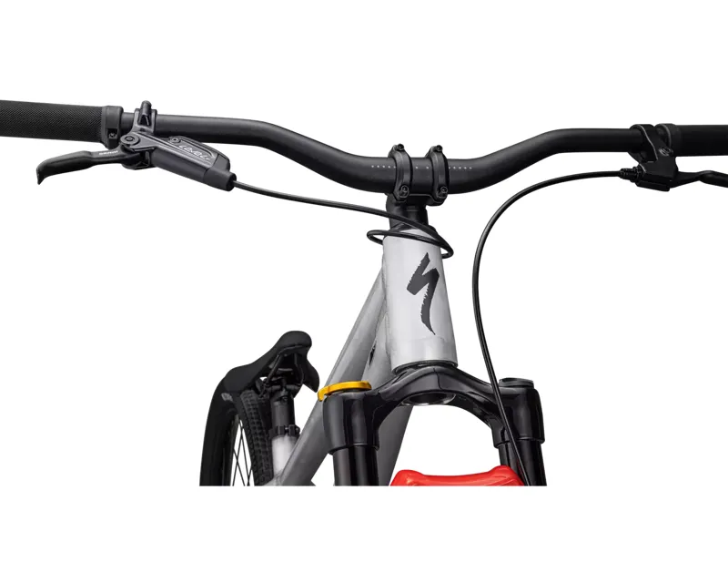 Specialized P.4 27.5in Dirt Jump Bike 2023 in Aluminium/Black-4