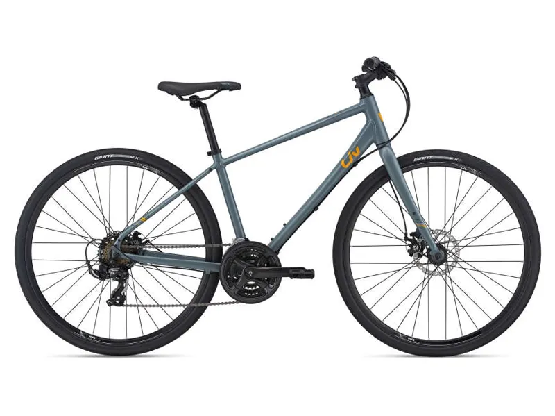 Liv Alight 3 Disc Womens Hybrid Bike 2021 in Grey Large