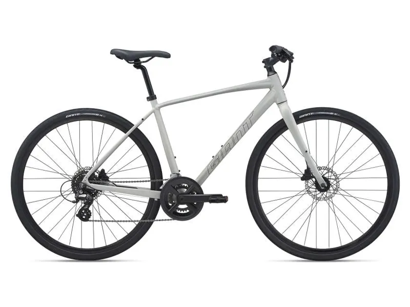 Giant Escape 2 Disc Hybrid Bike 2021 in Grey Small
