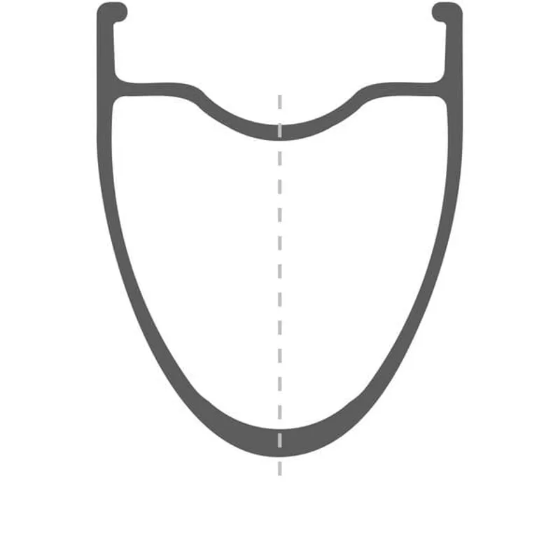 DT Swiss AR 1600 SPLINE Clincher 30x20mm 700c Disc Brake Front Wheel  in Black-1