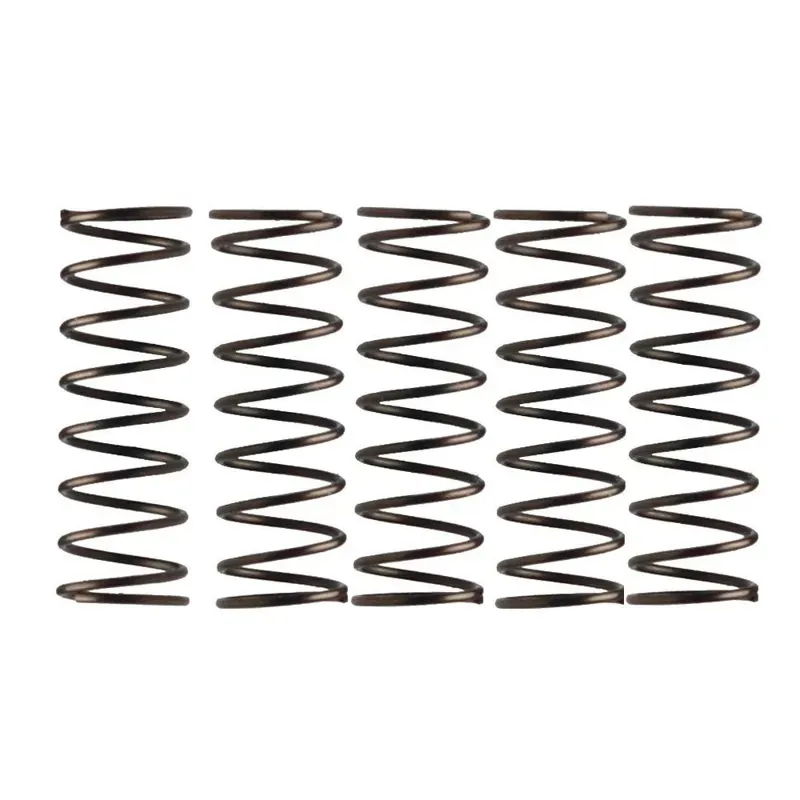 Low End Pre 2004 Pawl Spring