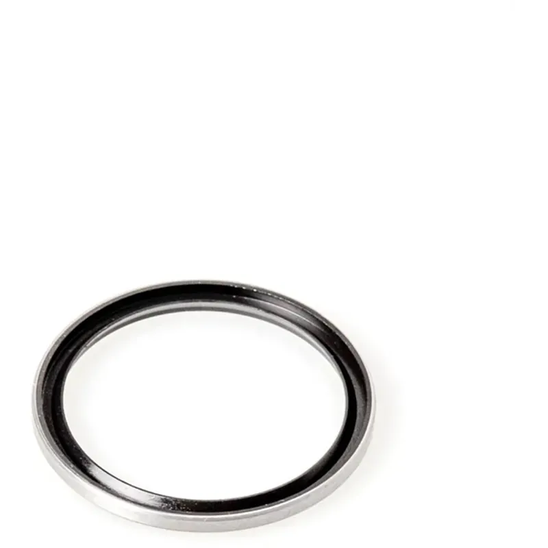 DT Swiss Seal for Ratchet Freehub Body and Hub Shell - Fits 180 240 and 350-1