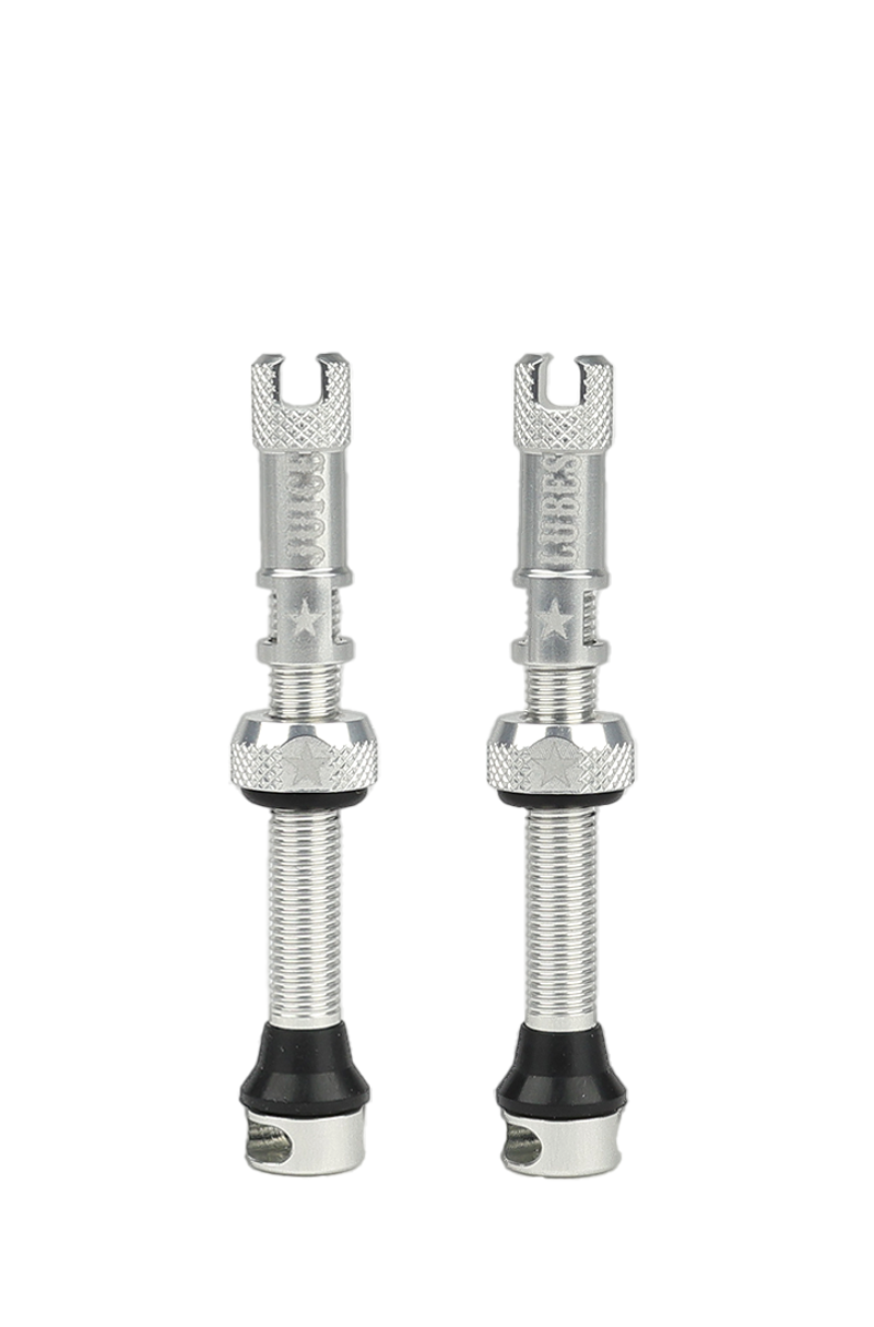Juice Lubes Tubeless Valves 48mm in Silver