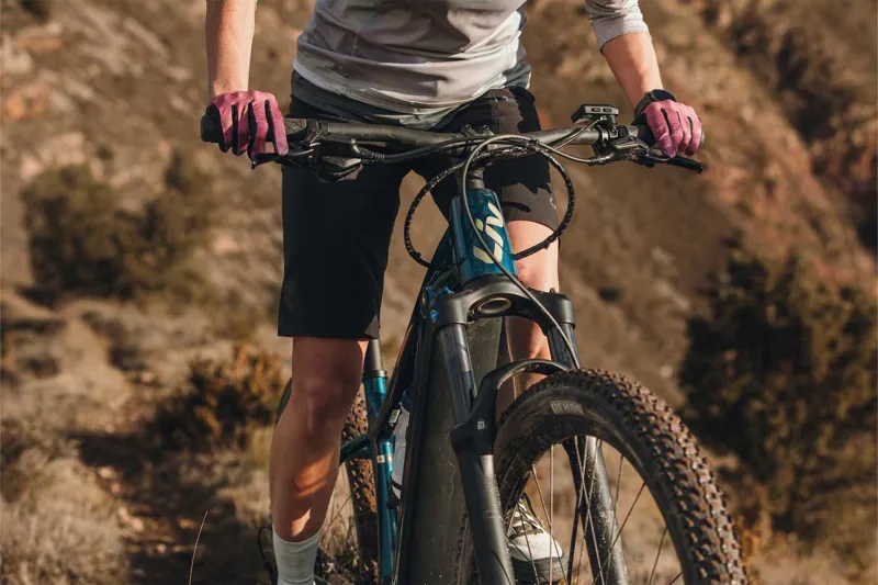 Liv Lurra E+ 2 Electric Mountain Bike 2025 in Gloss Sea Sparkle-6