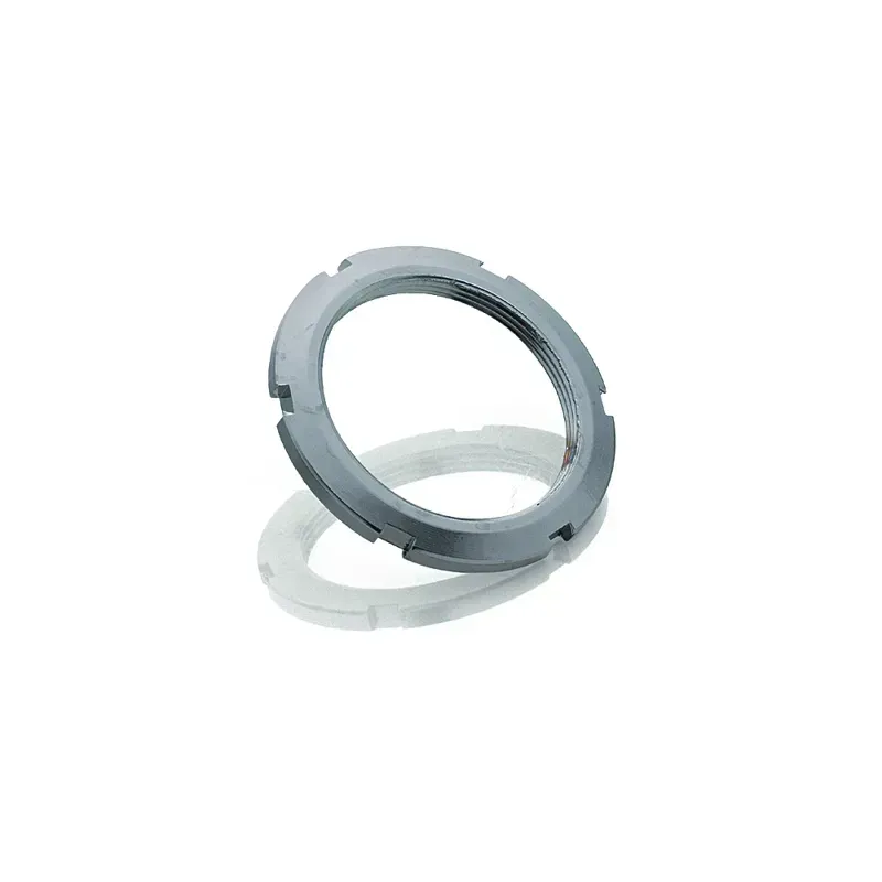 Miche Sprocket Lockring-1