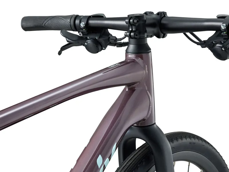 Liv Thrive 2 Womens Hybrid Bike 2024 in Gloss Charcoal Plum-6