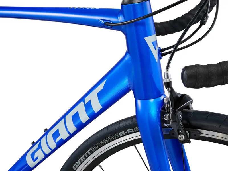 Giant Contend 2 Road Bike 2025 in Blue Gloss Cobalt Good Gray-1