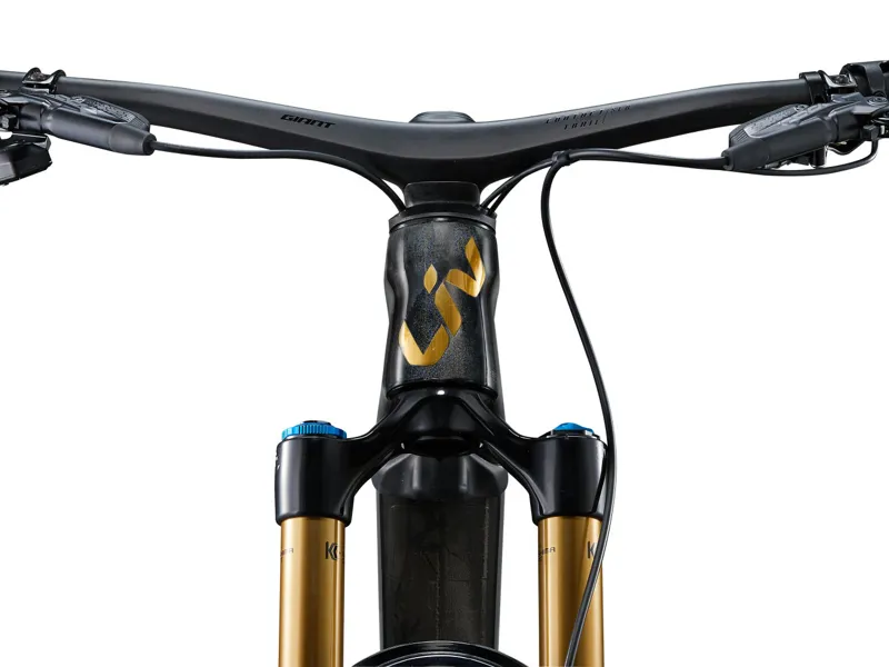 Liv Intrigue X Advanced E+ Elite 1 Electric Full Suspension Mountain Bike 2024 in Raw Carbon-9