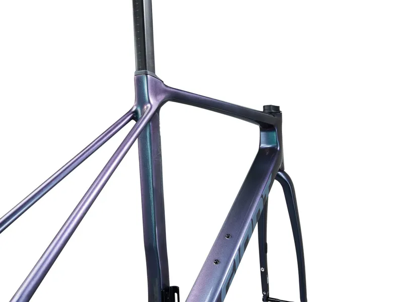 Giant TCR Advanced Pro Road Frameset 2025 in Blue Dragonfly-1