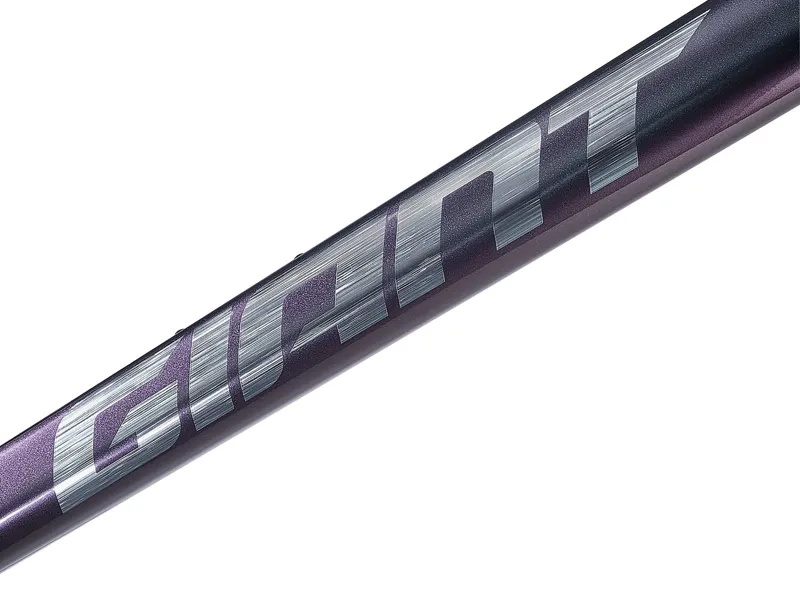 Giant TCR Advanced Pro Road Frameset 2025 in Blue Dragonfly-5