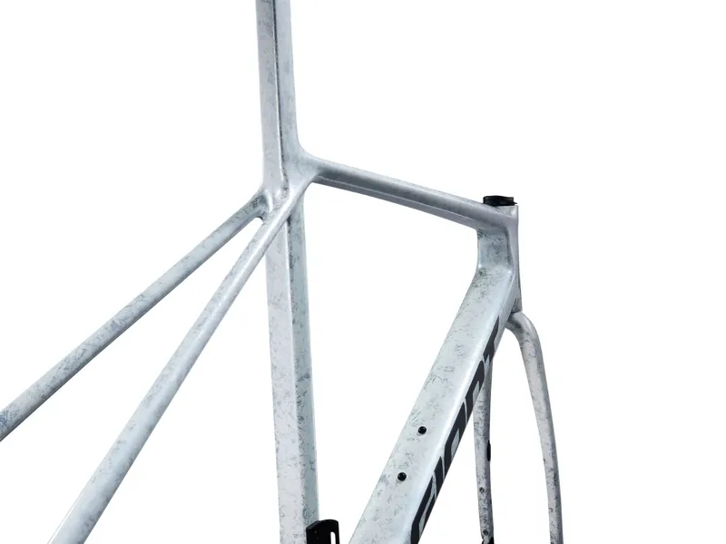 Giant TCR Advanced SL Road Bike Frameset 2025 in Opal Brushed Chrome-1