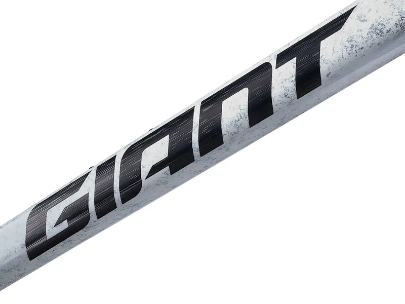 Giant TCR Advanced SL Road Bike Frameset 2025 in Opal Brushed Chrome-5