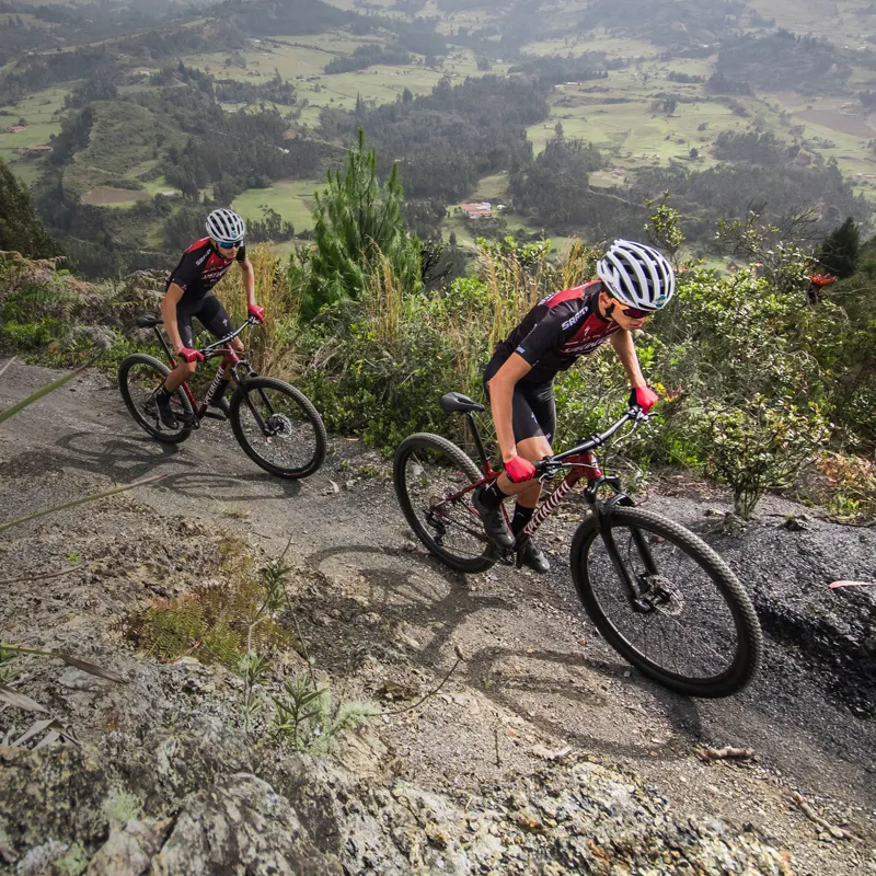 Specialized Bikes | Bale's Bikes