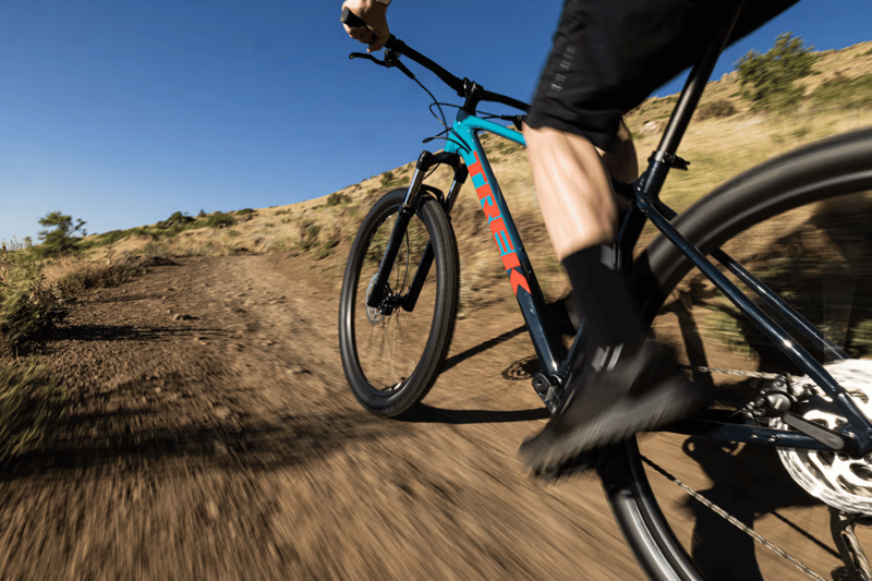 Versatility and Real-World Utility