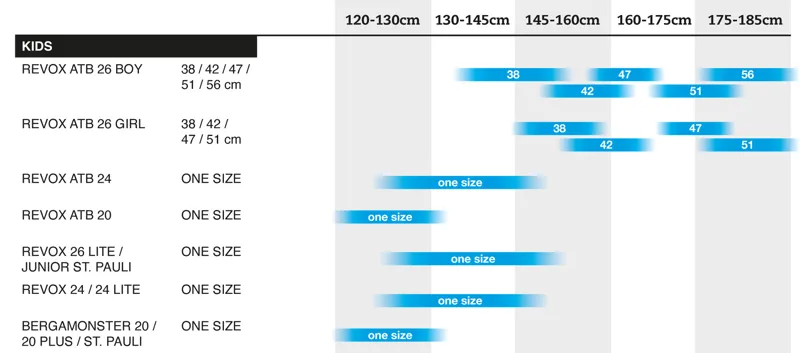 Bergamont Revox ATB 26 Boy Kids Bike 2022 in Grey-1