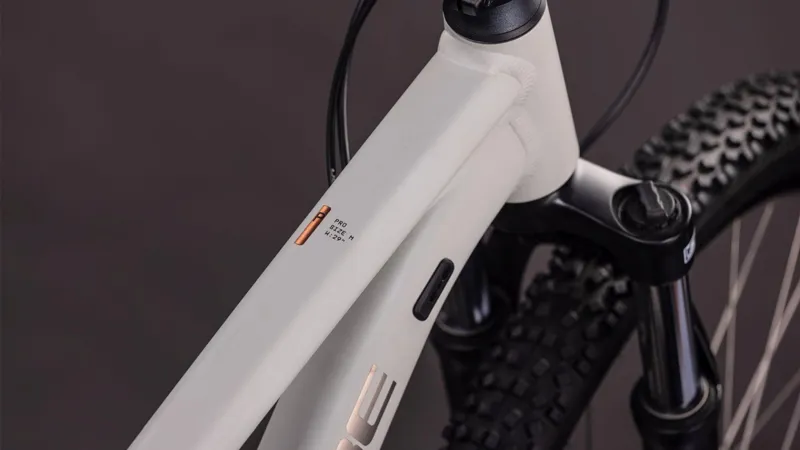 Cube Aim Pro Hardtail Mountain Bike 2026 in Greige/Titan-1