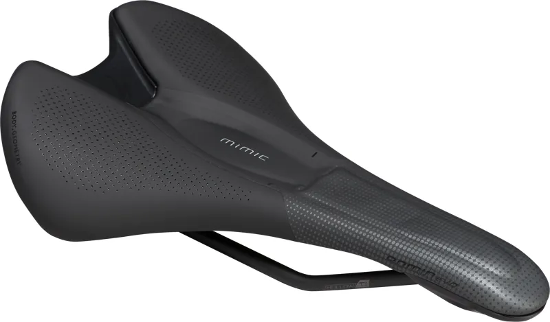 Specialized Romin Evo Expert With MIMIC Saddle in Black