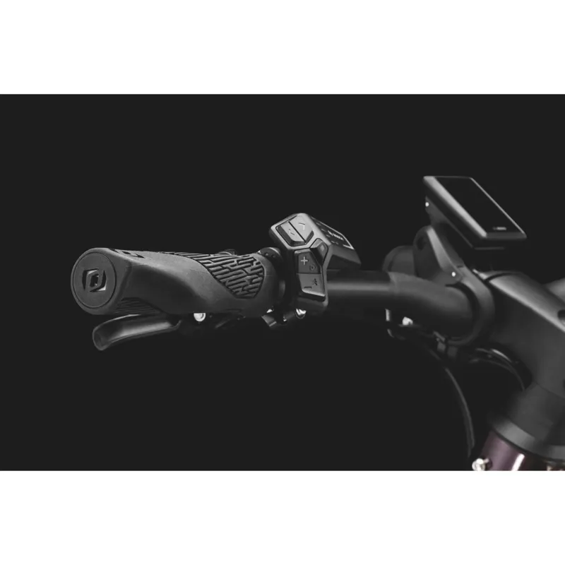 Bergamont Bike E-Revox Premium Pro FMN EQ  Electric Hardtail Mountain Bike 2024 in Aubergine Red-5
