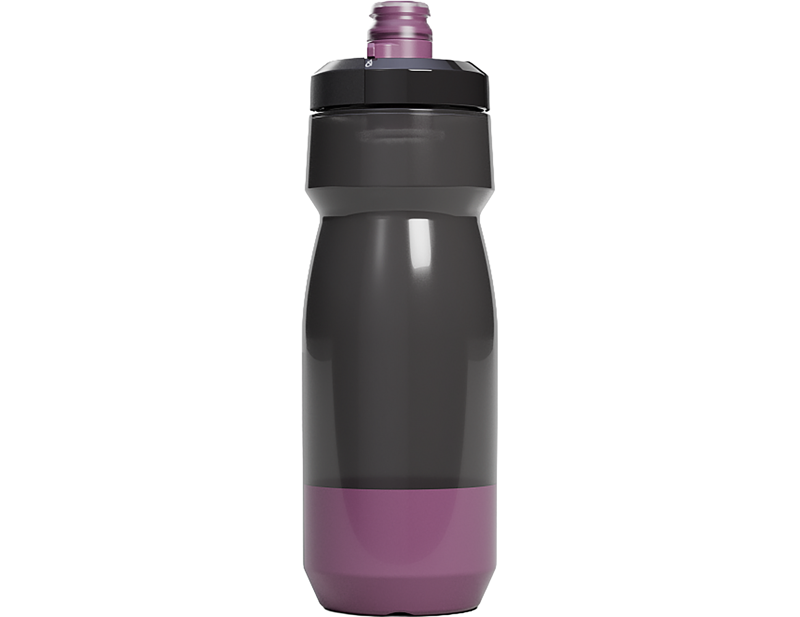 CamelBak Podium 24oz Bottle in Grey/Purple-1
