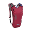 Camelbak Classic Light 4L Hydration Pack with 70oz Reservoir in Berry