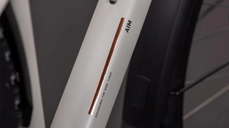 Cube Aim Pro FE Hardtail Mountain Bike 2026 in Greige/Titan-2