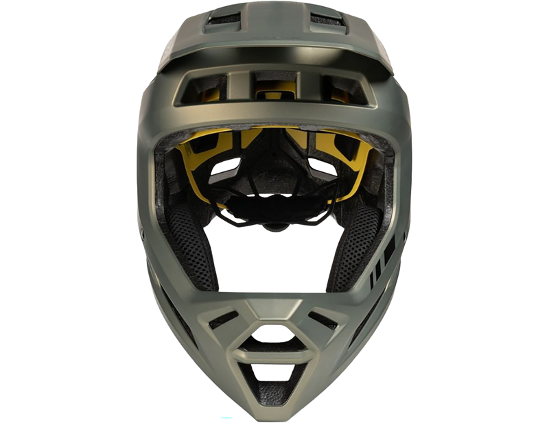 Cube Descender Full Face MIPS Helmet in Reed Green-2