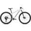 Specialized Rockhopper Expert Hardtail Mountain Bike 2025 in Gloss Silver Dust Satin Burnt Gold Metallic
