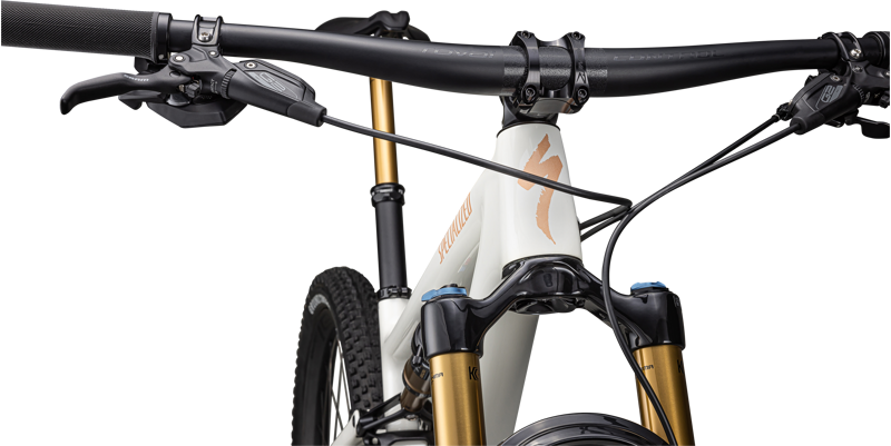 Specialized Epic EVO Pro Full Suspension Mountain Bike 2023 in Birch/Bronze-5