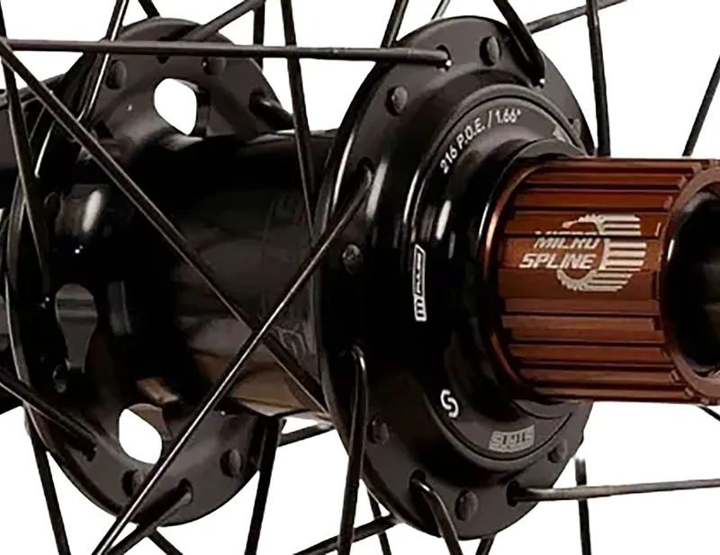 Stans Arch MK4 6B 29 Inch Rear Wheel in Black-2