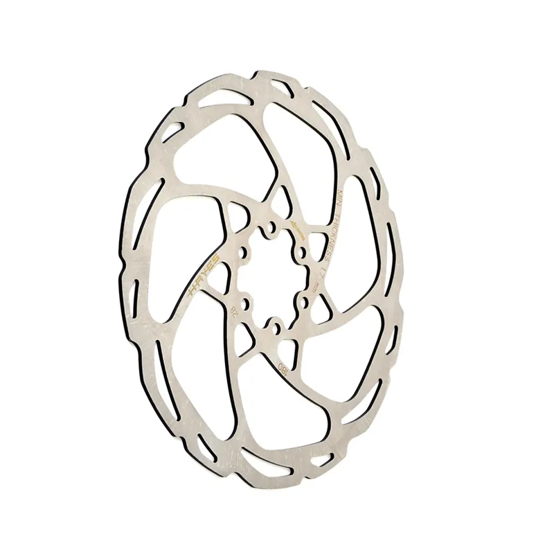 Hayes D-Series Disc Rotor in Silver-1