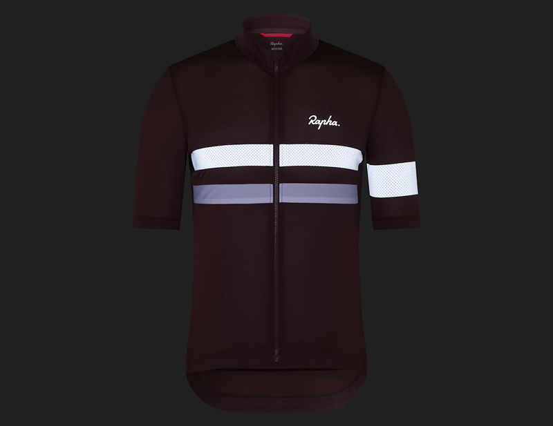 Rapha Brevet Lightweight Short Sleeve Jersey in Huckleberry/White-6