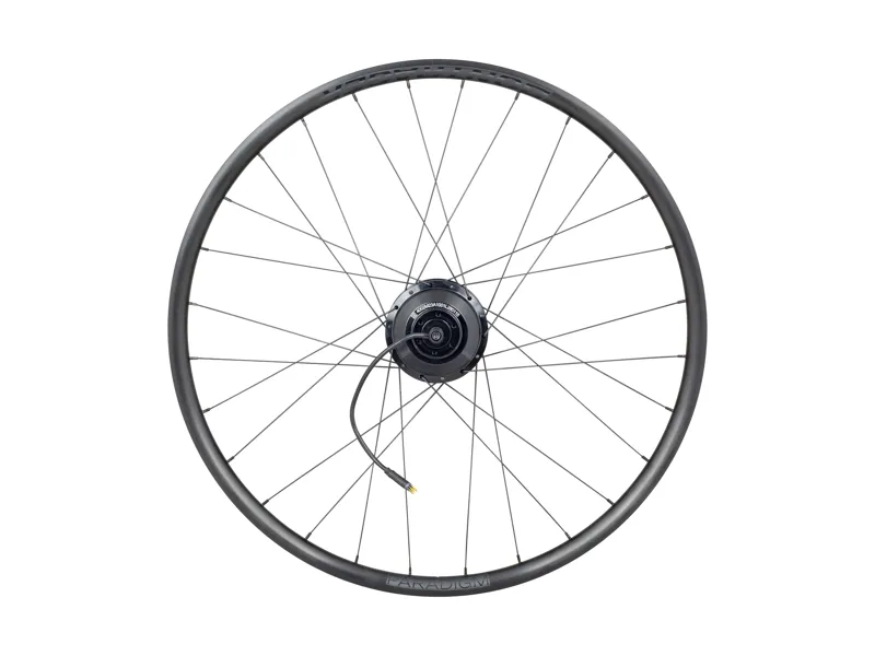 Bontrager Paradigm TLR 700c Disc 12-Speed Hyena Road Rear Wheel in Black-1