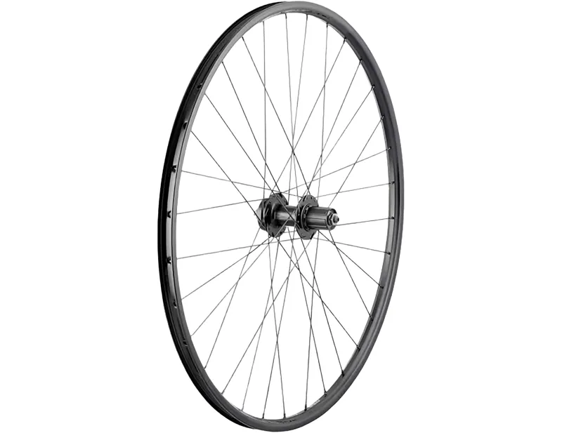 Bontrager Connection 29in QR 6-Bolt Shimano HG Rear Wheel in Black
