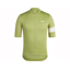 Rapha Men's Core Short Sleeve Jersey in Fern/White