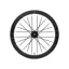 Cadex Max 50 Carbon Disc Brake HG/XDR Rear Wheel in Black