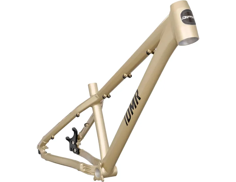 DMR Rhythm Frame 2026 in Sola Gold-1
