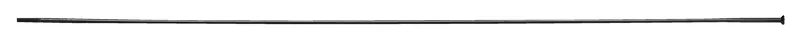 DT Swiss Competition Race 298mm Straight Pull 14G 2.0 x 1.6mm Spoke in Black