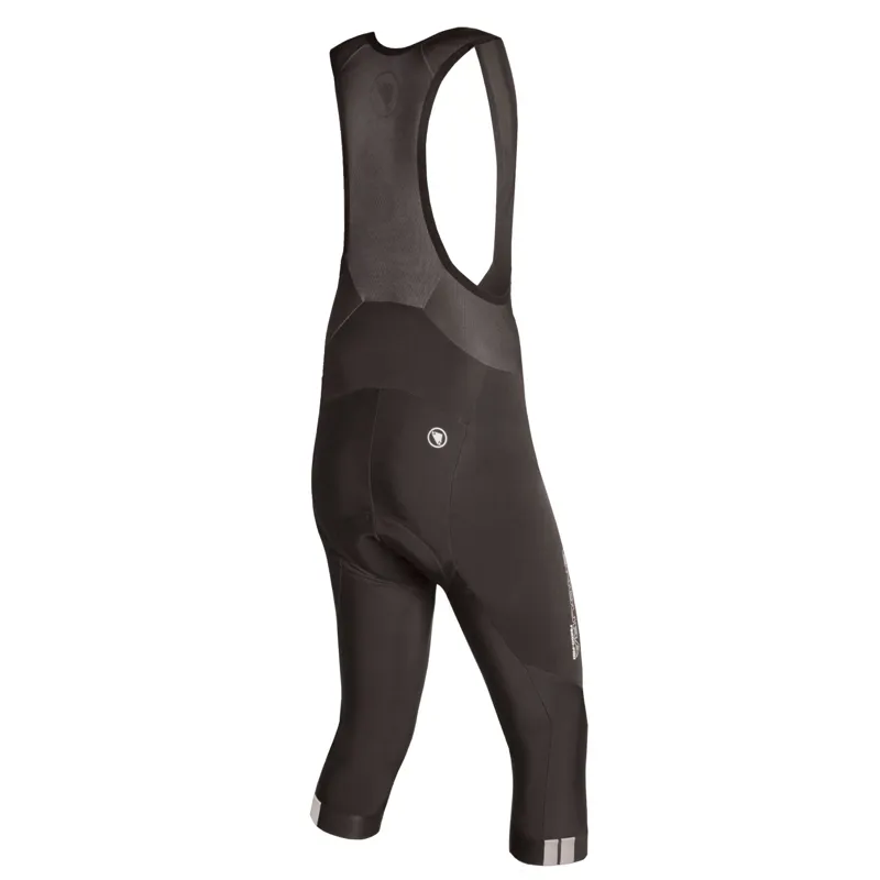 Endura FS260-Pro Thermo Bibknicker in Black -1