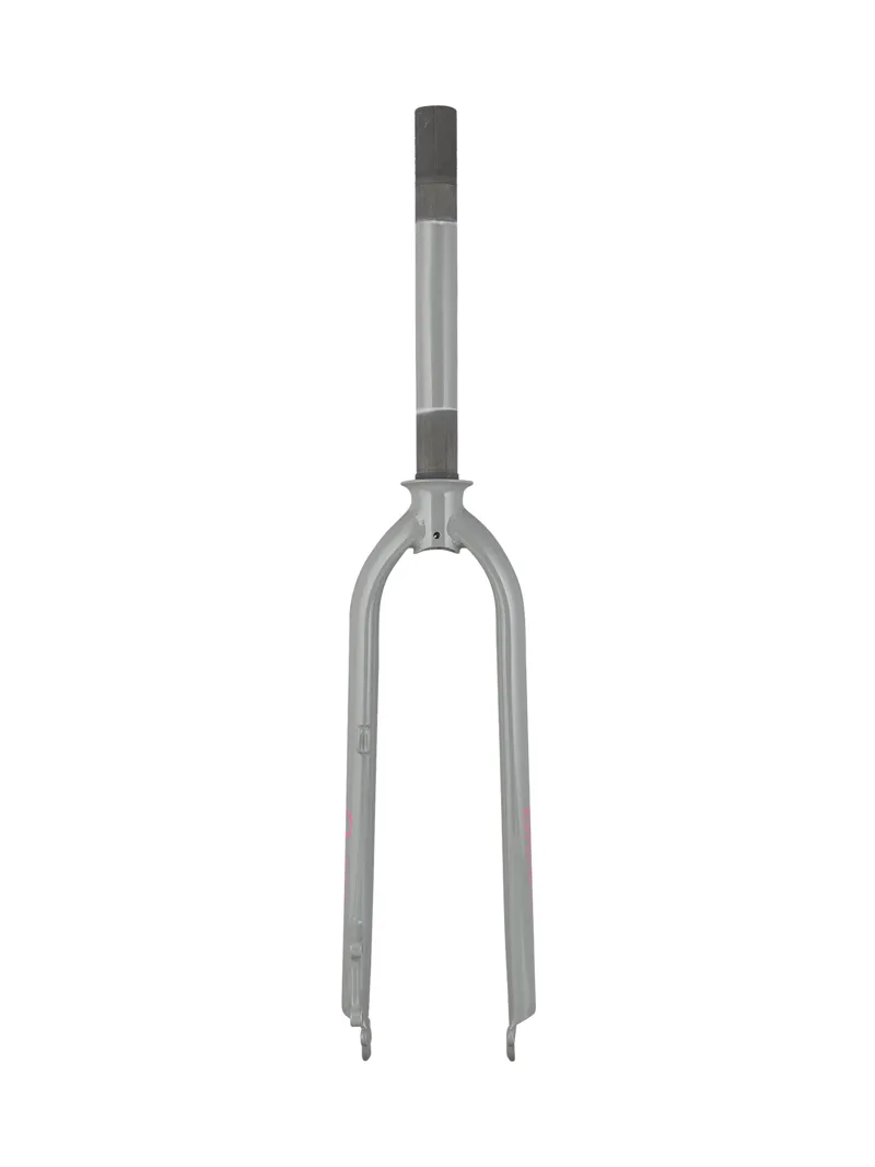 Electra Townie Go! 5i 26in Rigid Fork in Grey-1