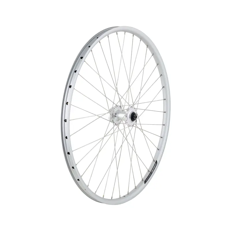 Balfes Bikes Electra Townie Go! 7D 26 Wheel in Silver | Free postage over £30, £10 off first order, price match & 0% finance.