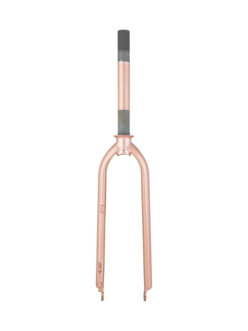 Electra Townie Go! 8i Ladie's Disc 26in Brake Rigid Fork in Rose Gold-1