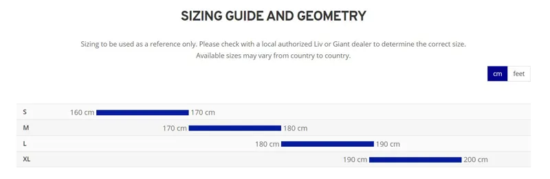 Giant Escape 1 Disc Hybrid Bike 2023 in Charcoal-1