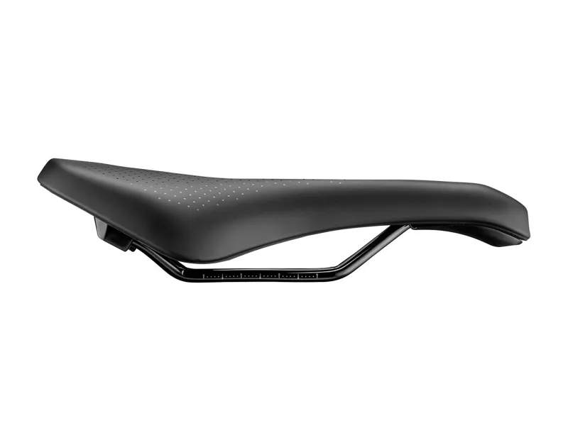 Giant Ergocontact Saddle in Black-1