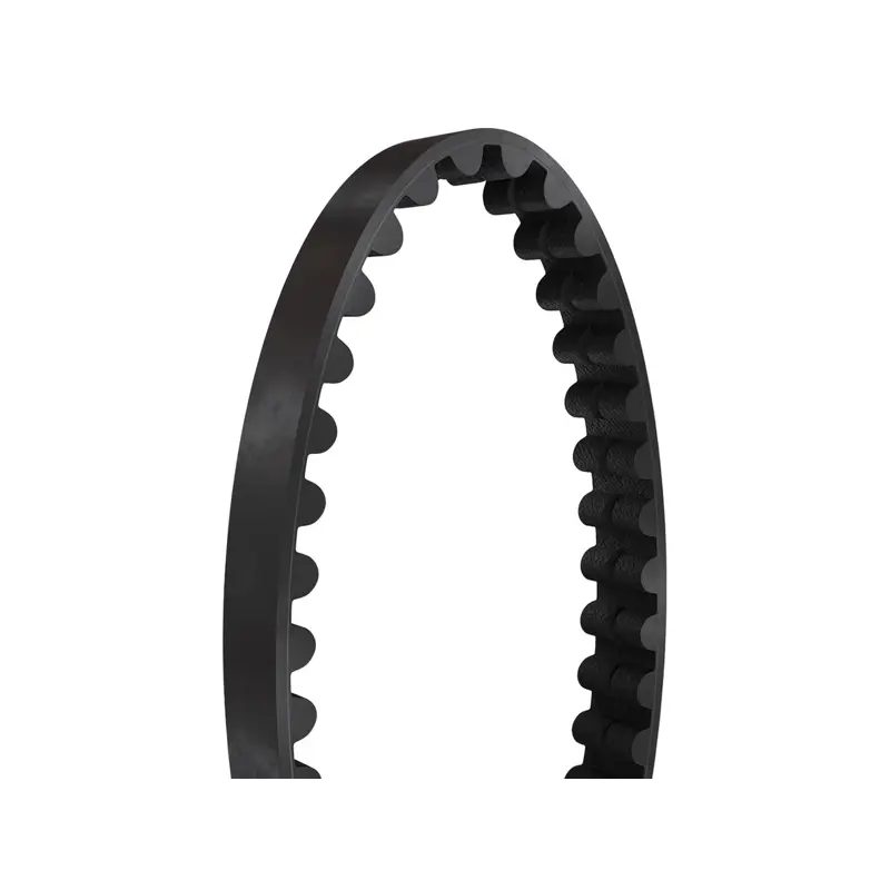 Balfes Bikes Gates CDN Belt 113t in Black | Free postage over £30, £10 off first order, price match & 0% finance.