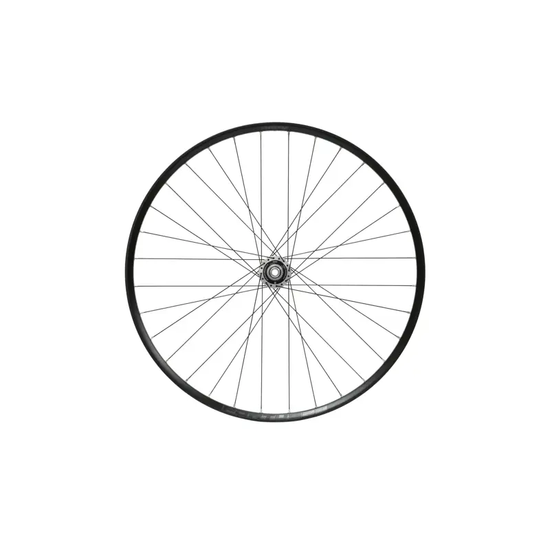 Balfes Bikes Hope Fortus 23W Pro 5 29in 110mm Boost Front Wheel in Silver | Free postage over £30, £10 off first order, price match & 0% finance.